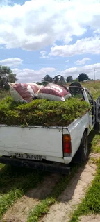 We supply and install Kikuyu grass