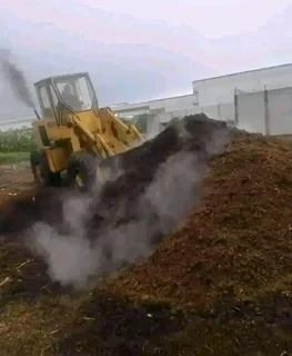 We supply and install Kikuyu grass