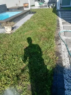 Kikuyu grass, LM Berea grass and Buffalo