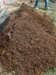 Kikuyu grass, LM Berea grass and Buffalo