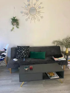 Charcoal 2 Seat Sleeper Couch