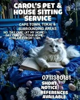 Pet Sitting Service
