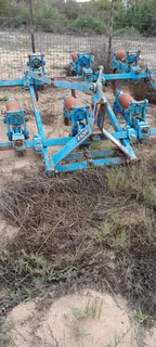 Ripper - Ad posted by Osdam Boerdery