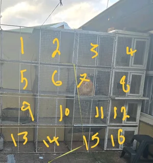 Units for birds, pigeons, rabbits or...