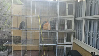 Units for birds, pigeons, rabbits or...