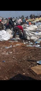 Cheap and rubbish removal.