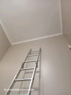 Damp fixing. Ceiling repairs and painting