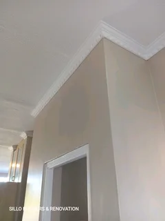 Damp fixing. Ceiling repairs and painting