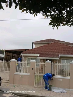 Damp. Painting. Ceilings