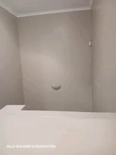 Damp. Painting. Ceilings