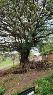 We do the following services in Durban and surrounding areas