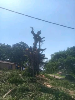 We do the following services in Durban and surrounding areas