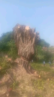 We do the following services in Durban and surrounding areas