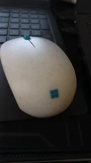 Microsoft Ocean Mouse