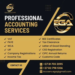 Professional Accounting services