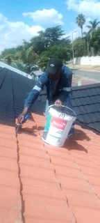 Professional painter