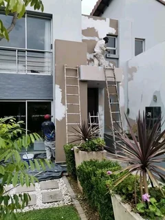 Professional painter