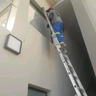 Professional painter