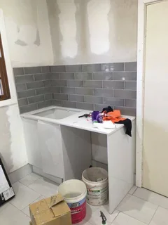 professional painter/ tiler/ handyman available