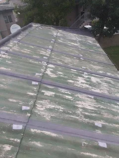 professional painter/ tiler/ handyman available