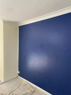 expert painter/ tiler/ handyman available for work