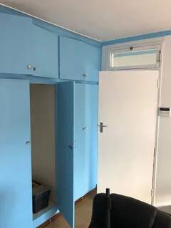 expert painter/ tiler/ handyman available for work