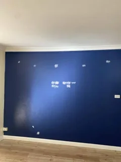 expert painter / tiler/ handyman available