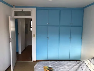 expert painter / tiler/ handyman available