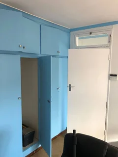 experienced painter/ tiler/ handyman service