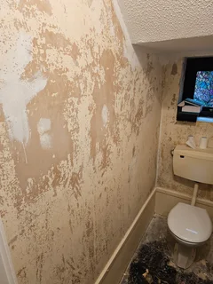 experienced painter/ tiler/ handyman service