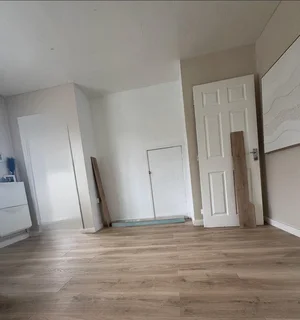 professional painter/ tiler/ handyman available