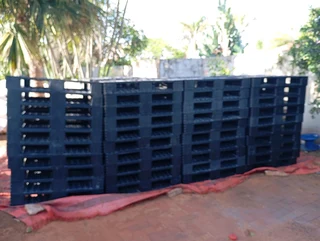 Plastic Pallets for sale