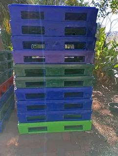 Plastic Pallets for sale