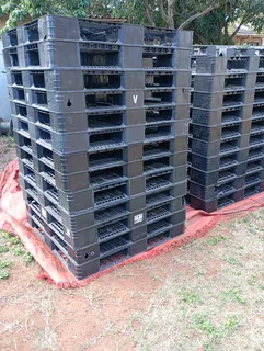 Plastic Pallets for sale