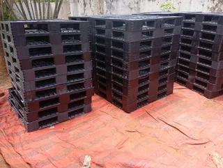 Plastic Pallets for sale