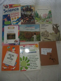 Childrens books in bulk