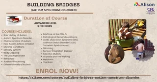 Building Bridges (autsim spectrum disorder)