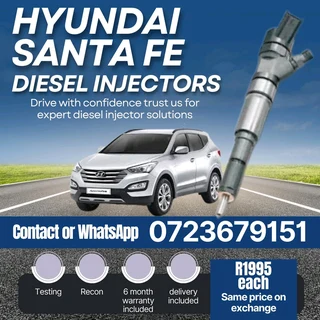 Hyundai Santa Fe Diesel Injectors for sale
