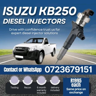 Isuzu KB250 Diesel Injectors for sale