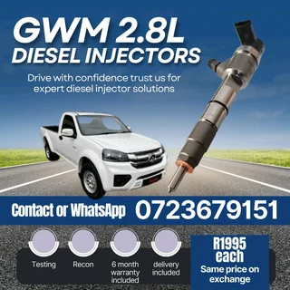 GWM 2.5L Diesel Injectors for sale