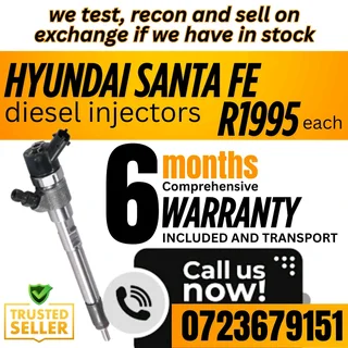 Hyundai Santa Fe Diesel Injectors for sale