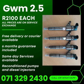 Gwm 2.5 Diesel Injectors For Sale With Warranty On
