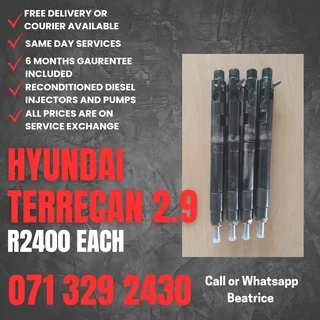 Hyundai Terrecan 2.9 Injectors For Sale With Warranty