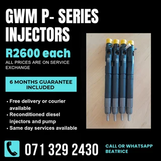 Gwm P Series Injectors For Sale With Warranty
