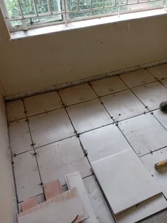 Plumbing and painting