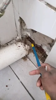 Plumbing and painting