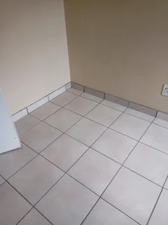 Plumbing and painting