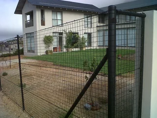 Thermo plastic coated welded mesh 2m x 25m rolls