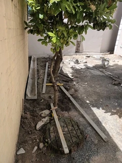 Bricklayer available