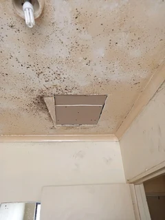 HANDYMAN LOOKING FOR WORK